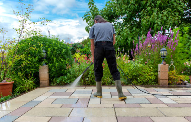 Best Roof Cleaning and Mildew Removal in Firestone, CO